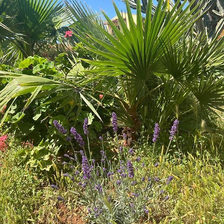 Nespolilla Villa Petrosino Ngoại thất bức ảnh