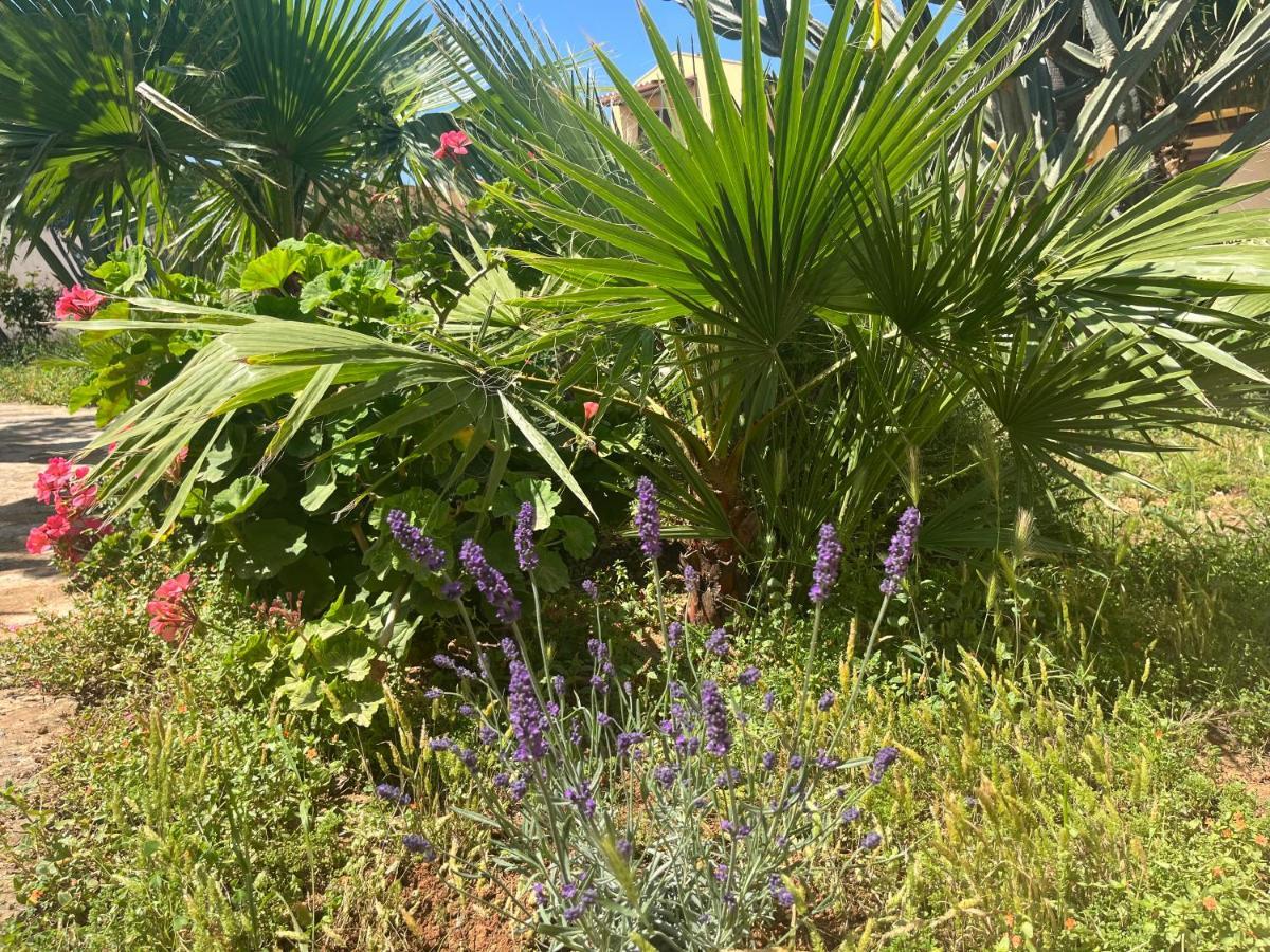 Nespolilla Villa Petrosino Ngoại thất bức ảnh